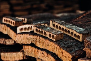 AMORIM | EXPERIMENTADESIGN